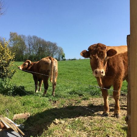 Vakantiewoning Kleijnen ノールベーク エクステリア 写真